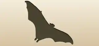 Bat silhouette