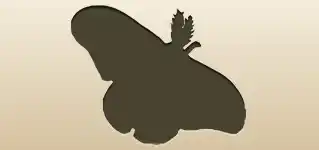 Moth silhouette