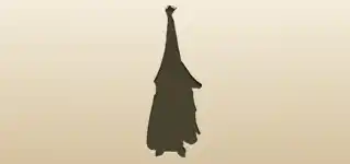 Bat silhouette