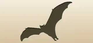 Bat silhouette
