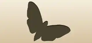 Moth silhouette