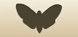 Moth silhouette