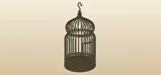 Birdcage silhouette