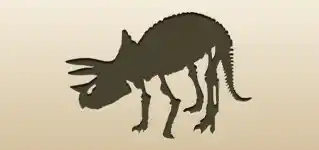 Skeleton silhouette