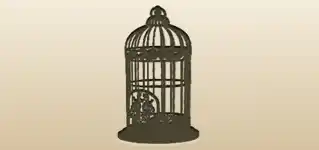 Birdcage silhouette