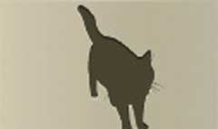Cat silhouette