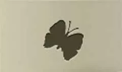 蝶のシルエット