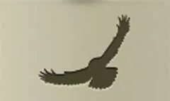 フクロウのシルエット