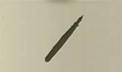 ペンのシルエット