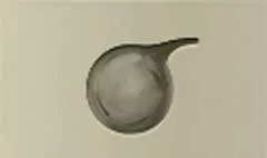 蒸留器のシルエット