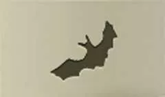 コウモリのシルエット