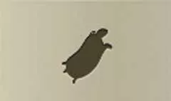 カメのシルエット