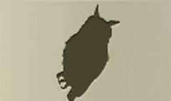 フクロウのシルエット