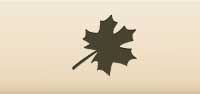 Maple Leaf