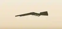Shotgun