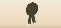 Award Ribbon