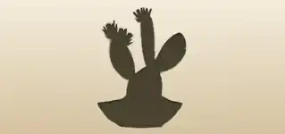 サボテン
