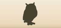 Owl silhouette