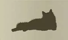 ネコ