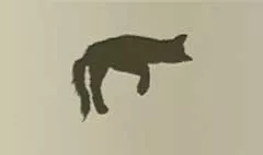 ネコ