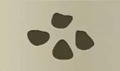 ルーン文字