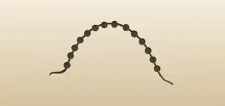Bead Necklace silhouette