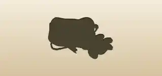 Runes silhouette