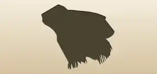 Blanket silhouette
