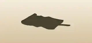 Map silhouette