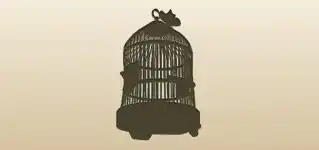 Birdcage silhouette