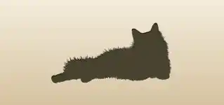 Cat silhouette