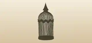 Birdcage silhouette