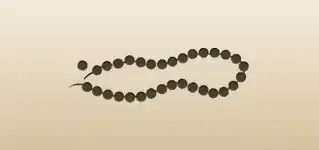 Bead Necklace silhouette