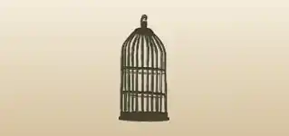 Birdcage silhouette