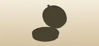 Compass silhouette