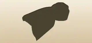 Scarf silhouette