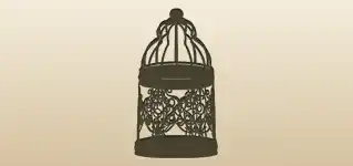Birdcage silhouette