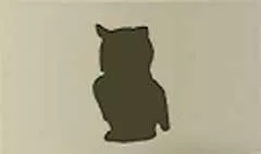 フクロウ