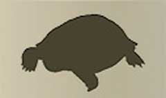 Turtle silhouette #1