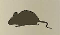 Mouse silhouette #1