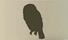 Owl silhouette #3