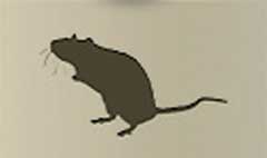 Mouse silhouette
