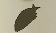 魚