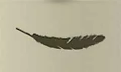 鳥の羽