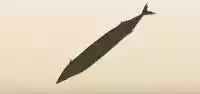魚