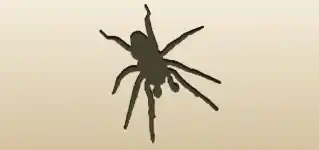 クモのシルエット