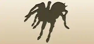 クモのシルエット