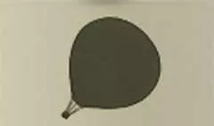 熱気球