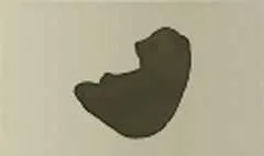 パンダ