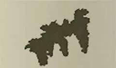 ブドウ